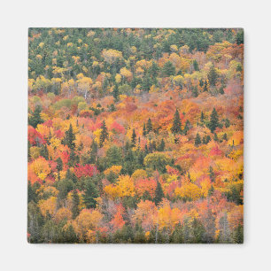 Herbstlaub Keweenaw-Halbinsel, Michigan Magnet