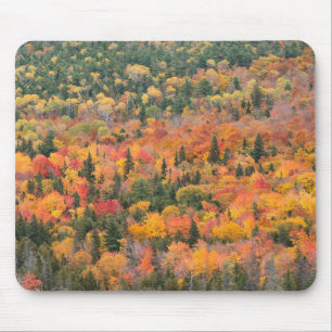 Herbstlaub   Keweenaw-Halbinsel, Michigan Mousepad