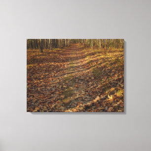 Herbstlaub Mauer Art Leinwanddruck