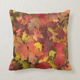 Herbstlaub-Mischfarbkissen Kissen