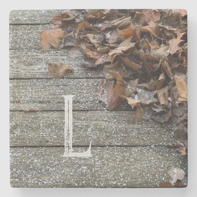 Herbstlaub mit Schnee iPhone / iPad Gehäuse Steinuntersetzer (Vorderseite)