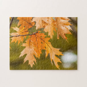 Herbstlaub nahes Foto-Puzzle