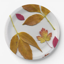 Herbstlaub Pappteller