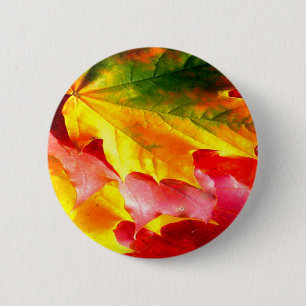 Herbstlaub Personalisieren sie gelb, rot, grün, Button