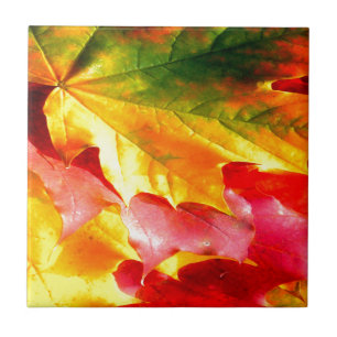 Herbstlaub Personalisieren sie gelb, rot, grün, Fliese