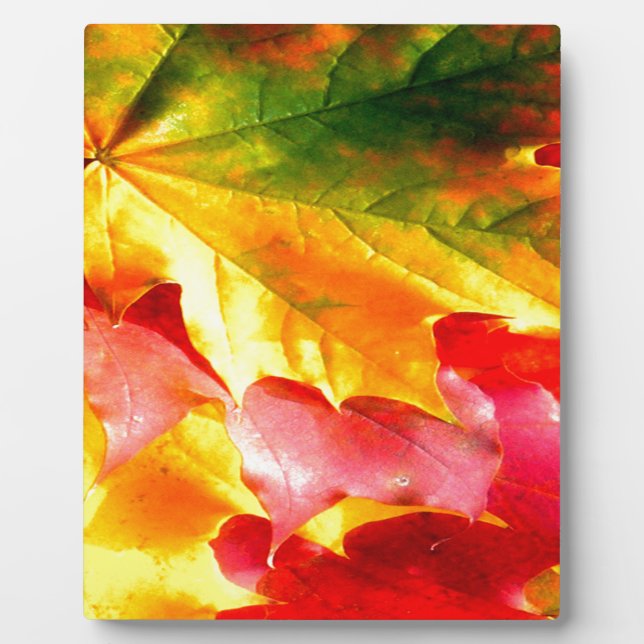 Herbstlaub Personalisieren sie gelb, rot, grün, Fotoplatte (Vorderseite)