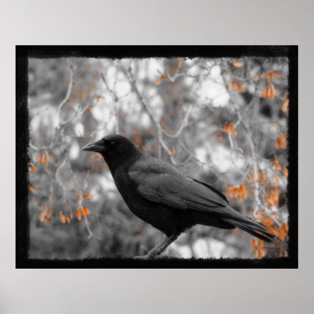 Herbstlaub Poster (Vorne)