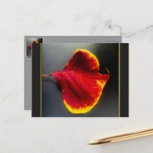 Herbstlaub Postkarte