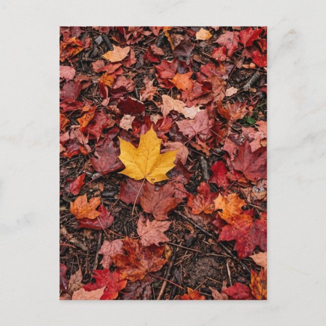 Herbstlaub  postkarte (Vorderseite)