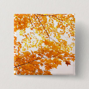 Herbstlaub-Reflexion Button