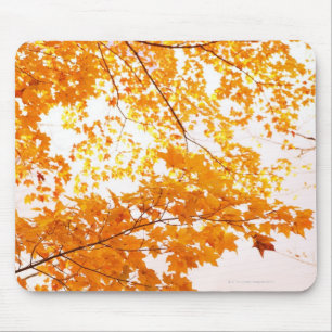 Herbstlaub-Reflexion Mousepad