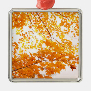 Herbstlaub-Reflexion Ornament Aus Metall