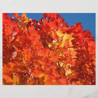 Herbstlaub Scrapbook Papier Scrapbooking Orange