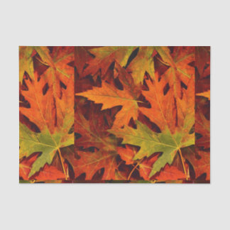 Herbstlaub Seidenpapier