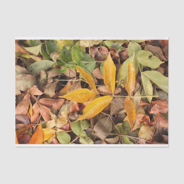 Herbstlaub-Seidenpapier Seidenpapier (Vorderseite)
