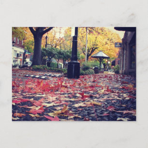 Herbstlaub Seitenansicht Postkarte