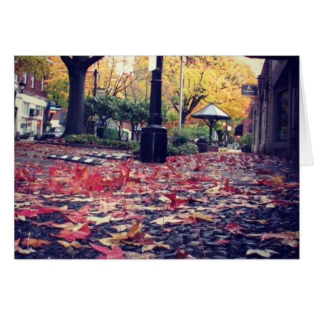 Herbstlaub Sidewalk View (Vorderseite (Horizontal))