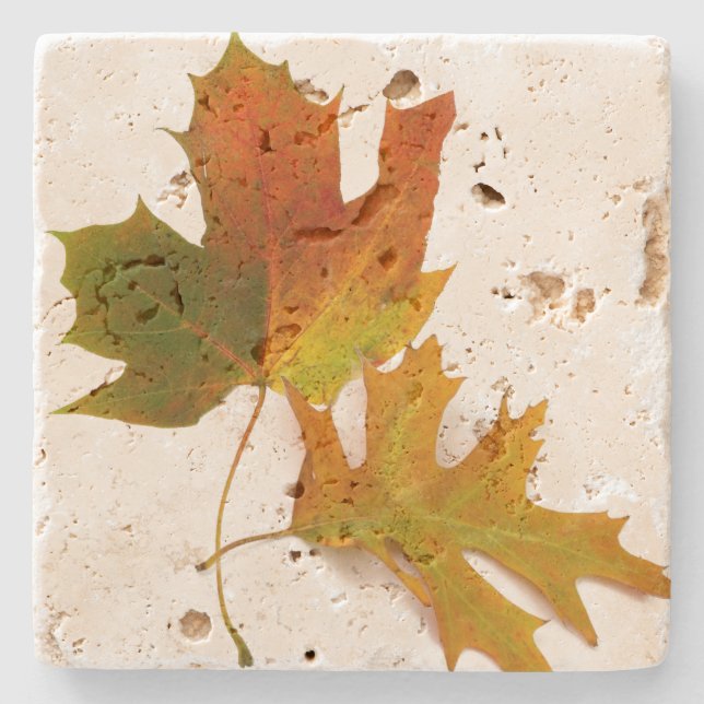 Herbstlaub-SteinUntersetzer Steinuntersetzer (Vorderseite)