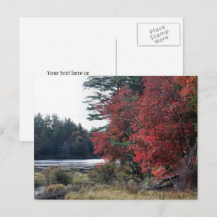 Herbstlaub Teich Naturfotografie Postkarte