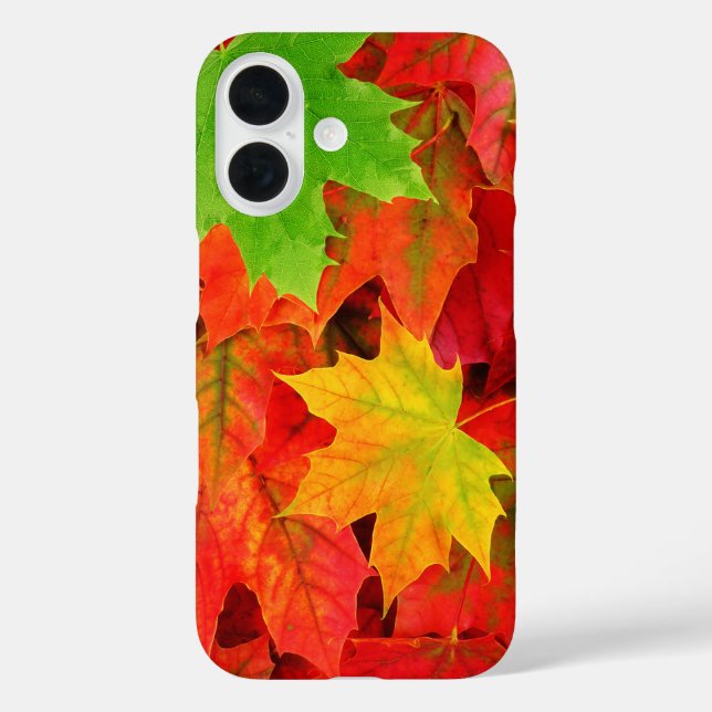 Herbstlaub title_seo2 (Rückseite)