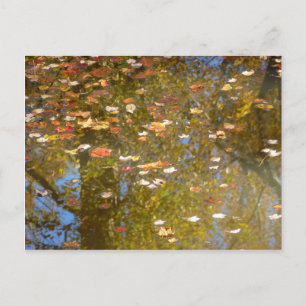 Herbstlaub und Bachreflexion im Greenbelt Postkarte