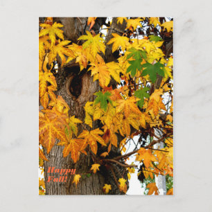 Herbstlaub und Baumpostkarte Postkarte