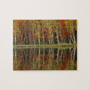 Herbstlaub und Birkenreflexionen; Hiawatha