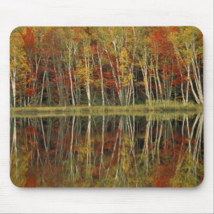 Herbstlaub und Birkenreflexionen; Hiawatha Mousepad