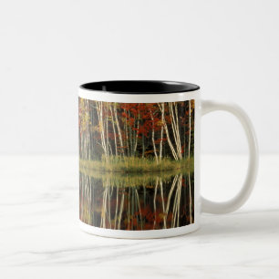 Herbstlaub und Birkenreflexionen; Hiawatha Zweifarbige Tasse