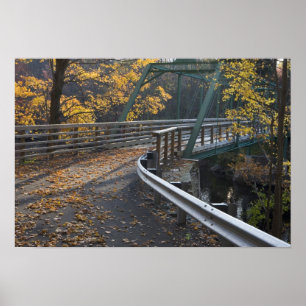 Herbstlaub und eine Brücke über den Millers Poster