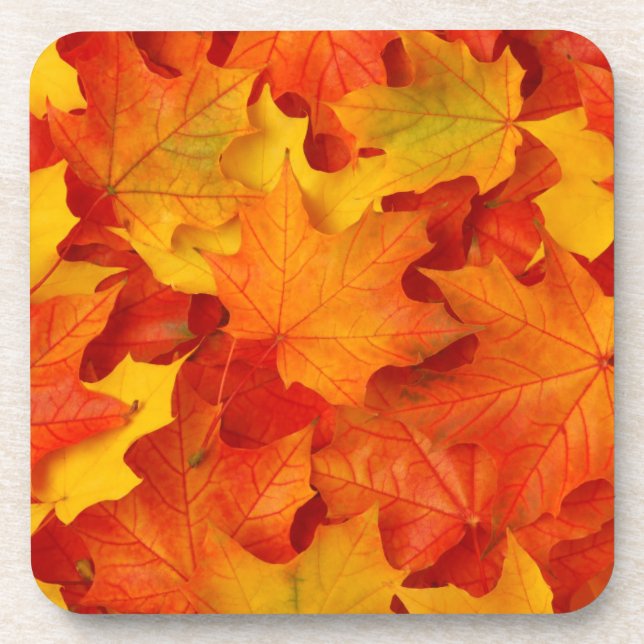 Herbstlaub Untersetzer (Vorderseite)
