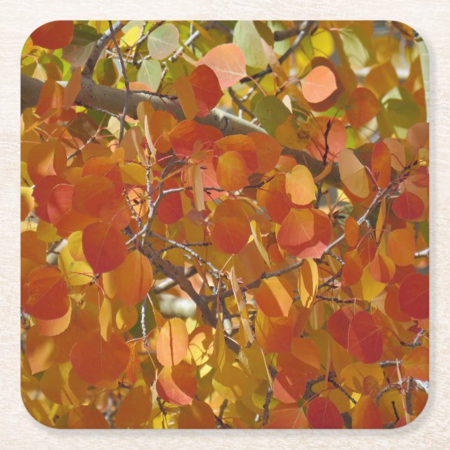 Herbstlaub-Untersetzer Rechteckiger Pappuntersetzer (Vorderseite)