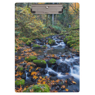 Herbstlaub verstreut entlang des Gorton Creek Klemmbrett