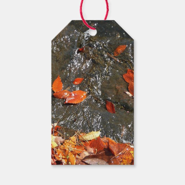 Herbstlaube im Wasserfall I Herbstfotografie Geschenkanhänger (Vorderseite)