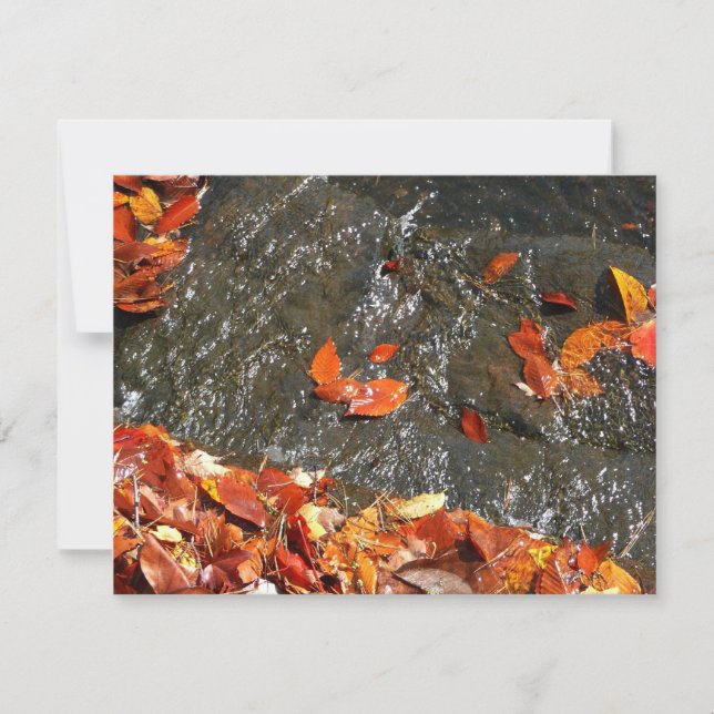 Herbstlaube im Wasserfall I Herbstfotografie Mitteilungskarte (Vorderseite)