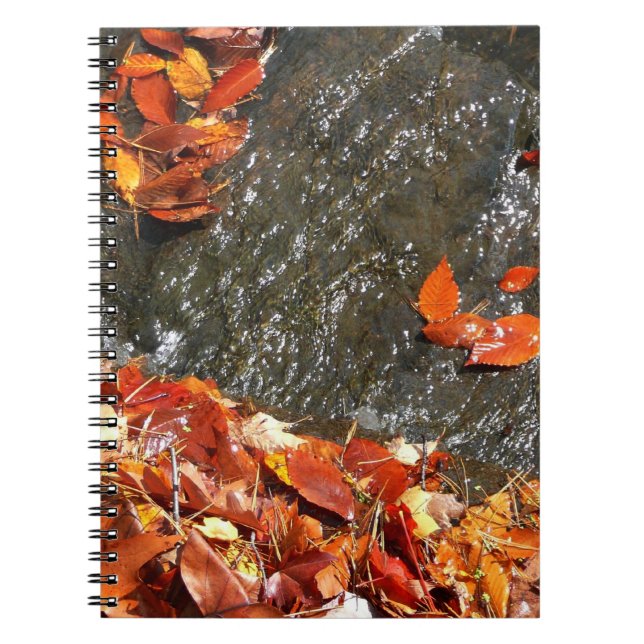 Herbstlaube im Wasserfall I Herbstfotografie Notizblock (Vorderseite)