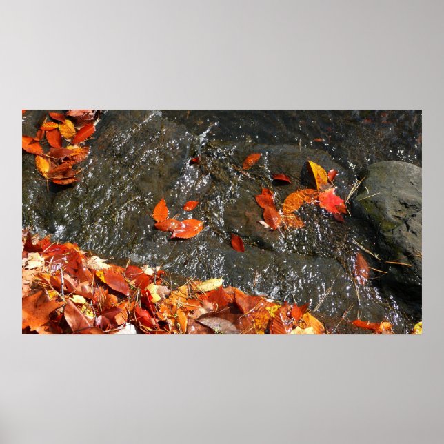 Herbstlaube im Wasserfall I Herbstfotografie Poster (Vorne)
