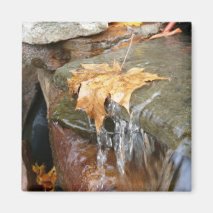 Herbstlaube im Wasserfall II Herbstfotografie Magnet