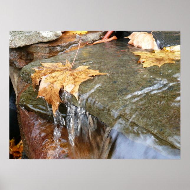Herbstlaube im Wasserfall II Herbstfotografie Poster (Vorne)