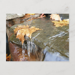 Herbstlaube im Wasserfall II Herbstfotografie Postkarte