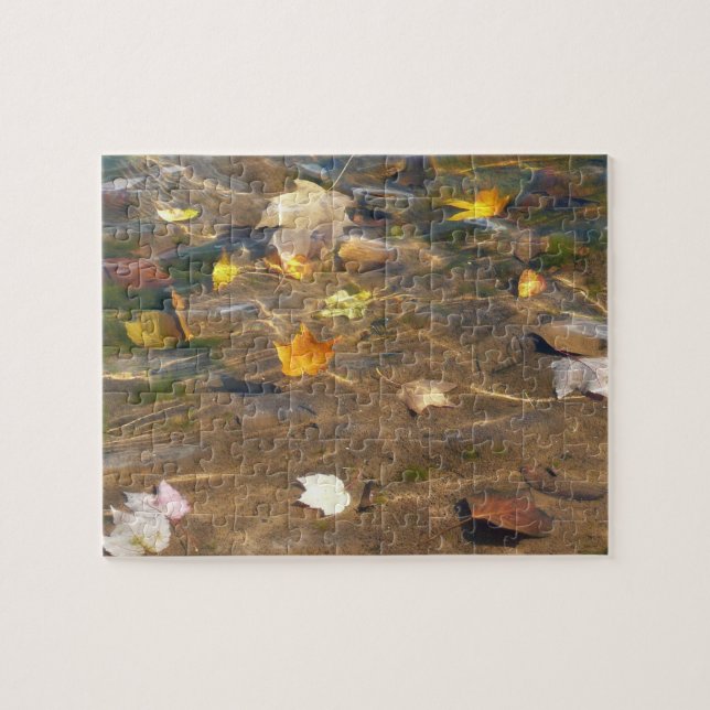 Herbstlaube in Pond Water Nature Fotografie (Horizontal)