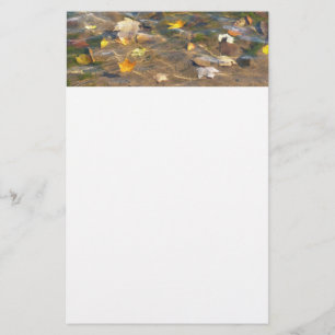 Herbstlaube in Pond Water Nature Fotografie Briefpapier