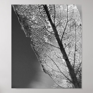 Herbstleaf - B&W Poster