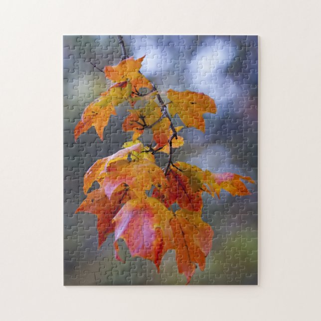Herbstleaves (Vertikal)