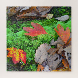 Herbstleaves