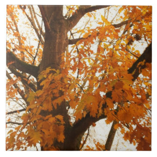 Herbstleaves Fliese