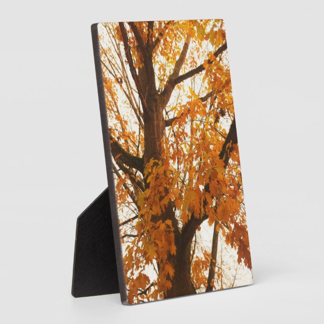 Herbstleaves Fotoplatte (Seite)