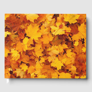 Herbstleaves Gästebuch