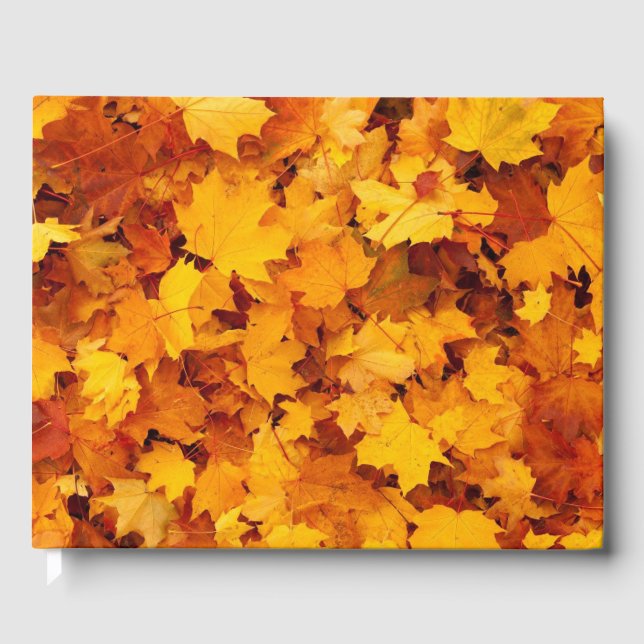 Herbstleaves Gästebuch (Vorderseite)