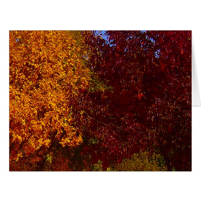 Herbstleaves Gelb und Lila, ZSSPG (Vorderseite (Horizontal))